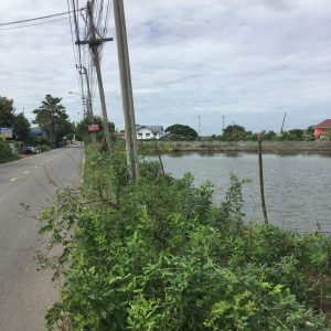 出售地皮-泰国-北榄-8736-平方米-10.6-01