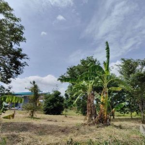 出售地皮-泰国-北碧-6400-平方米-10.72-01