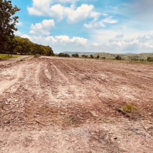 出售地皮-泰国-华富里-140180-平方米-5.4-01