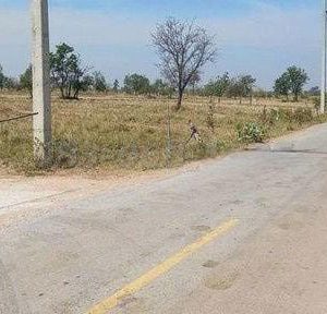 出售地皮-泰国-华富里-1920000-平方米-2.06-01