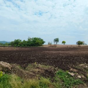 出售地皮-泰国-华富里-26840-平方米-6.43-01