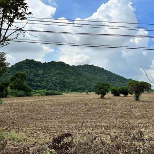 出售地皮-泰国-华富里-38400-平方米-24.12-01