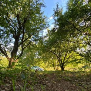 出售地皮-泰国-华富里-41424-平方米-2.38-01