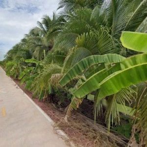 出售地皮-泰国-叻丕-10036-平方米-27.35-01