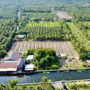 出售地皮-泰国-叻丕-21404-平方米-30.46-01