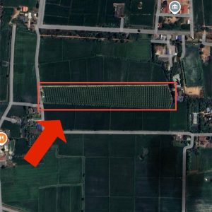 出售地皮-泰国-叻丕-25580-平方米-0.66-01