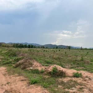 出售地皮-泰国-叻丕-293920-平方米-5.26-01