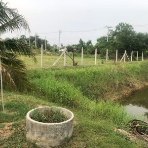 出售地皮-泰国-叻丕-3200-平方米-37.52-01