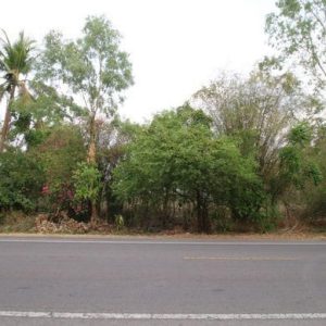 出售地皮-泰国-叻丕-4460-平方米-5.4-01