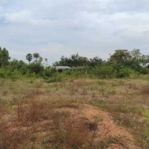 出售地皮-泰国-叻丕-9220-平方米-10.43-01