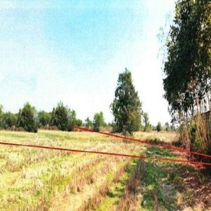 出售地皮-泰国-吗哈沙拉堪-14732-平方米-5.69-01