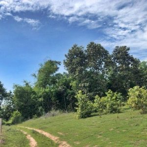 出售地皮-泰国-吗哈沙拉堪-62080-平方米-1.43-01