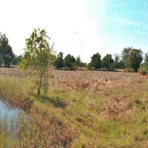 出售地皮-泰国-吗哈沙拉堪-6400-平方米-7.09-01