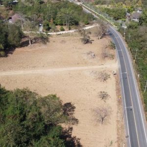 出售地皮-泰国-呵叻-10028-平方米-171.43-01