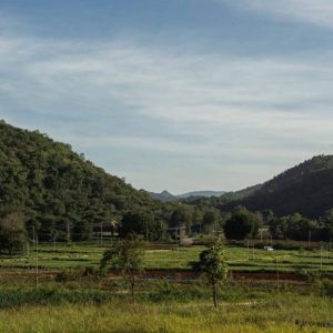 出售地皮-泰国-呵叻-1104-平方米-119.15-01