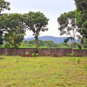 出售地皮-泰国-呵叻-1112-平方米-102.86-01