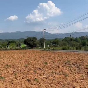 出售地皮-泰国-呵叻-11128-平方米-128.58-01