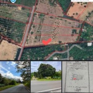 出售地皮-泰国-呵叻-11612-平方米-13.32-01