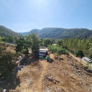 出售地皮-泰国-呵叻-1200-平方米-214.29-01