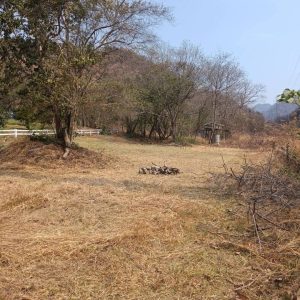 出售地皮-泰国-呵叻-1200-平方米-60-01