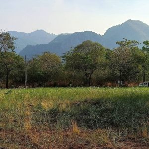 出售地皮-泰国-呵叻-1440-平方米-360-01