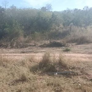 出售地皮-泰国-呵叻-14400-平方米-30-01