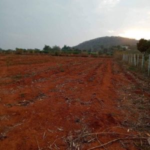 出售地皮-泰国-呵叻-15120-平方米-25.72-01