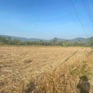 出售地皮-泰国-呵叻-15156-平方米-32.15-01