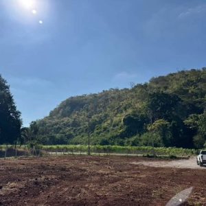 出售地皮-泰国-呵叻-1600-平方米-113.38-01