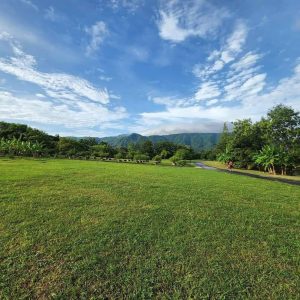 出售地皮-泰国-呵叻-1600-平方米-171.43-01