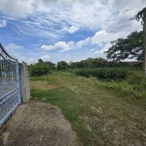 出售地皮-泰国-呵叻-1600-平方米-55.72-01