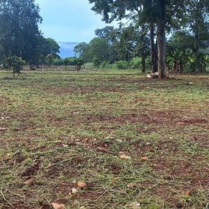 出售地皮-泰国-呵叻-1600-平方米-72.86-01