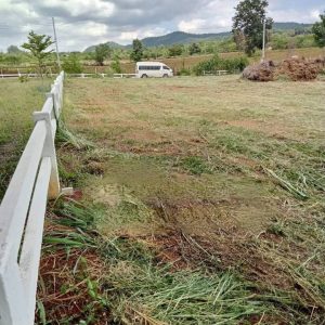 出售地皮-泰国-呵叻-1600-平方米-83.38-01