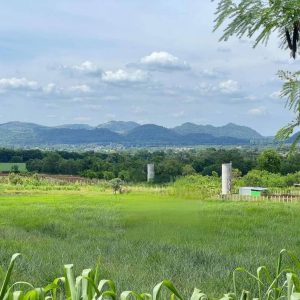 出售地皮-泰国-呵叻-16000-平方米-128.58-01