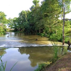 出售地皮-泰国-呵叻-16000-平方米-171.43-01