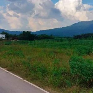 出售地皮-泰国-呵叻-16000-平方米-23.58-01