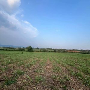 出售地皮-泰国-呵叻-162568-平方米-32.15-01