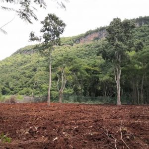 出售地皮-泰国-呵叻-1752-平方米-166.35-01