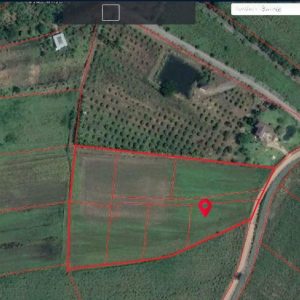 出售地皮-泰国-呵叻-17636-平方米-48.23-01