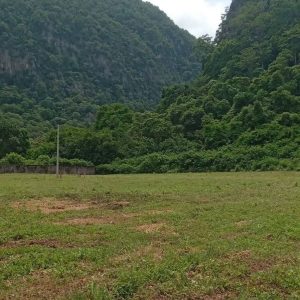 出售地皮-泰国-呵叻-1840-平方米-150-01