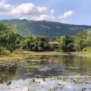 出售地皮-泰国-呵叻-1856-平方米-166.26-01