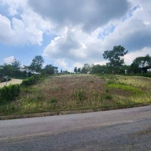 出售地皮-泰国-呵叻-1904-平方米-136.86-01