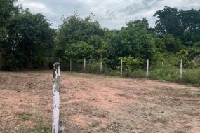 出售地皮-泰国-呵叻-200-平方米-54.86-01