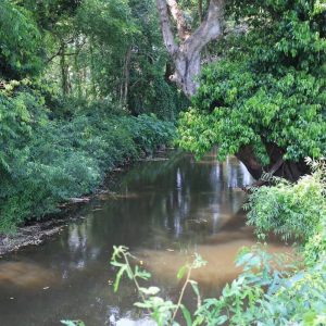 出售地皮-泰国-呵叻-20216-平方米-150-01