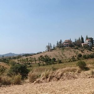 出售地皮-泰国-呵叻-20800-平方米-8.58-01