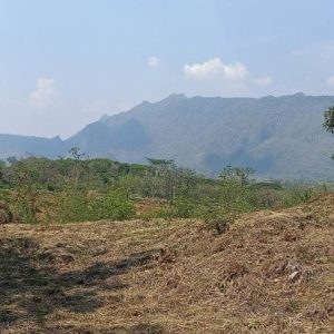 出售地皮-泰国-呵叻-2256-平方米-248.03-01