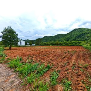 出售地皮-泰国-呵叻-2260-平方米-68.58-01