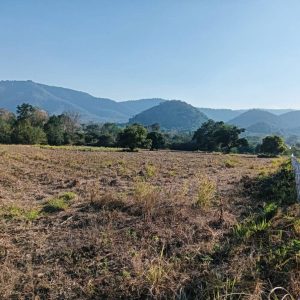 出售地皮-泰国-呵叻-22668-平方米-107.15-01