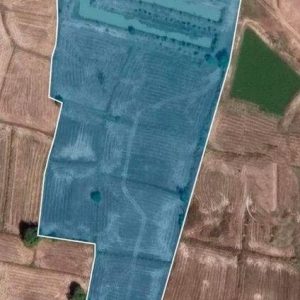 出售地皮-泰国-呵叻-22956-平方米-2.98-01