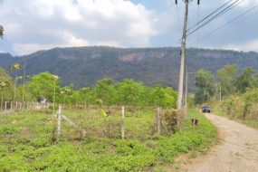 出售地皮-泰国-呵叻-2500-平方米-205.72-01